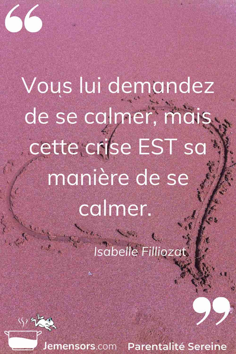 "Vous lui demandez de se calmer, mais cette crise EST sa manière de se calmer." Isabelle Filliozat 
